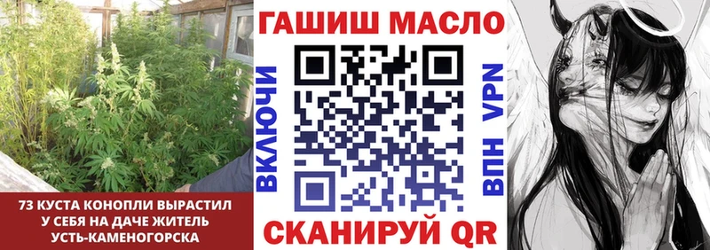 как найти закладки  Сольвычегодск  MEGA рабочий сайт  ТГК гашишное масло 