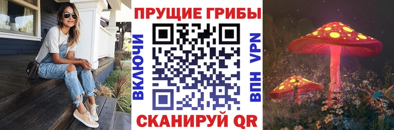 маркетплейс наркотические препараты  Сольвычегодск  Псилоцибиновые грибы мухоморы 